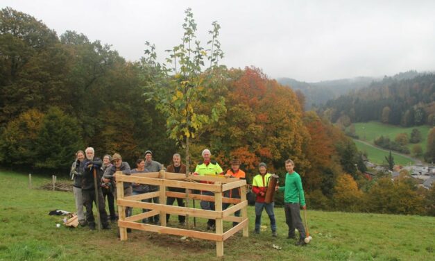 Zäune erstellen (dritter Bergli-Arbeitstag)