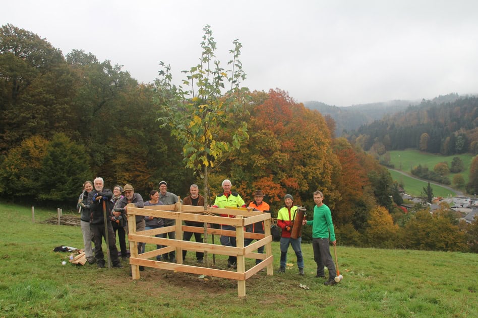 Zäune erstellen (dritter Bergli-Arbeitstag)